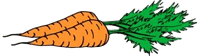 carrots